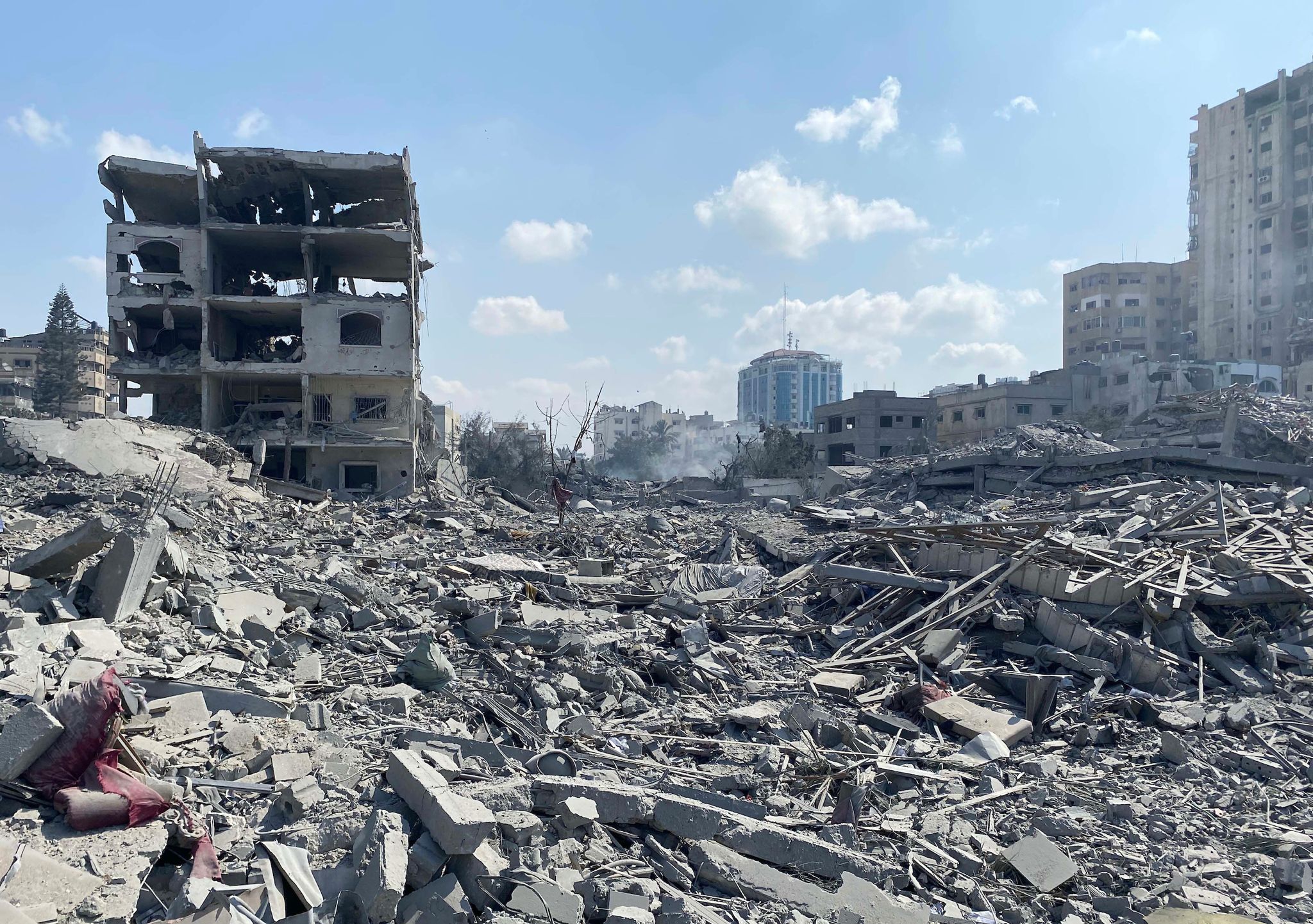 الصورة الفائزة